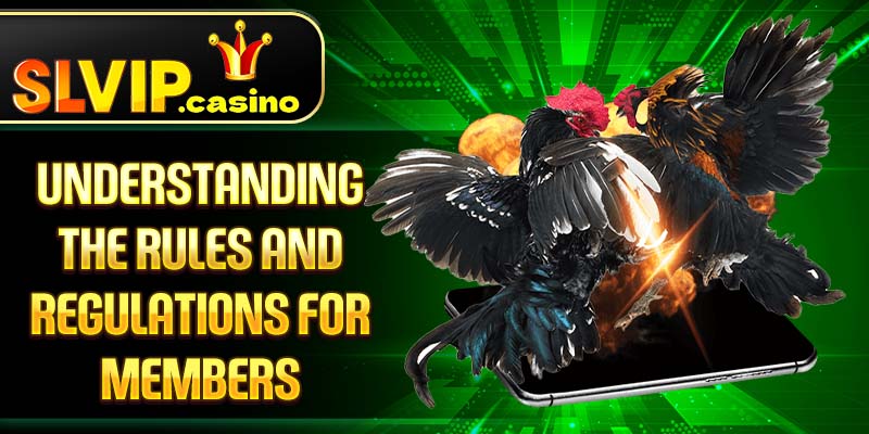 Understanding the Rules and Regulations for Members